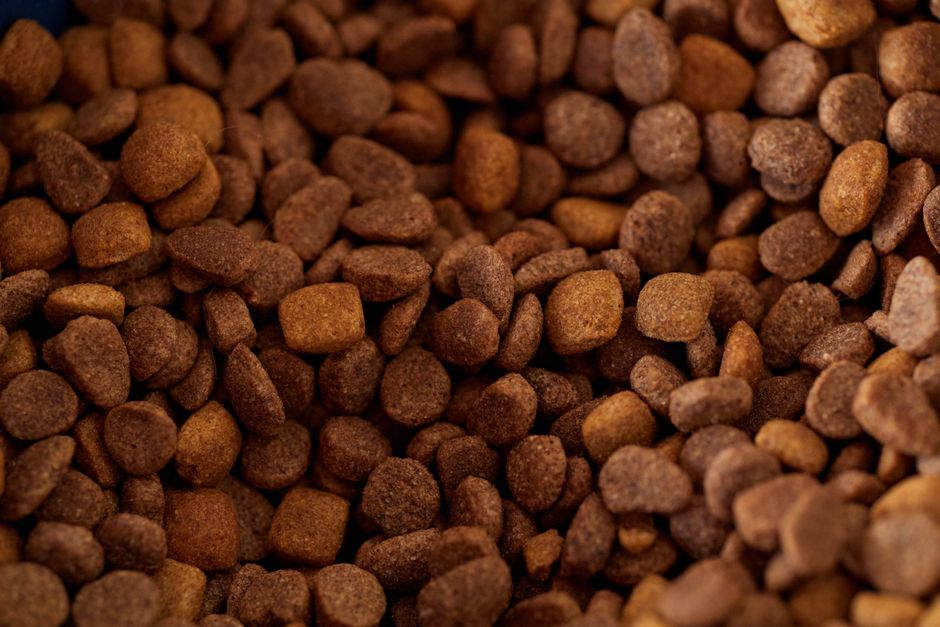 The Benefits and Use of Humuforte Blood Meal