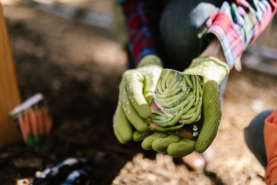 Grow a Better Kitchen Garden With Organic Vegetable Seeds