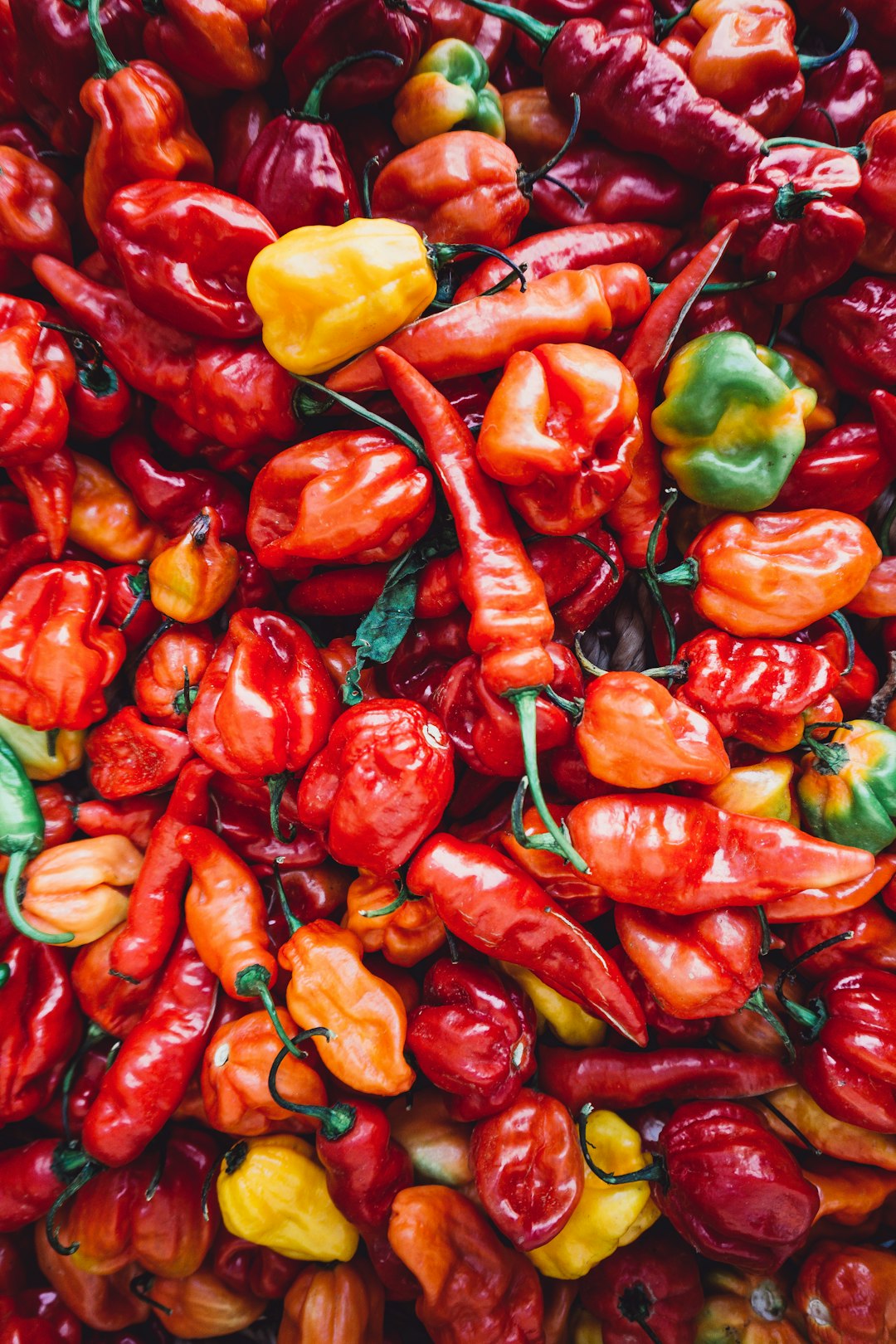 How to Grow, Harvest & Protect Pepper