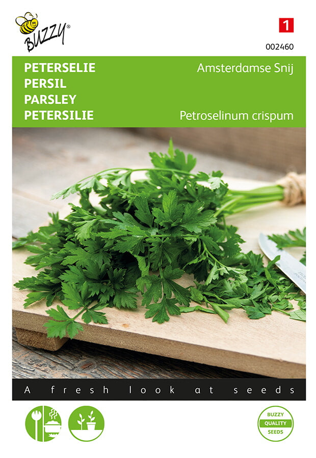 Peterselie - Amsterdamse Snij - 3 g