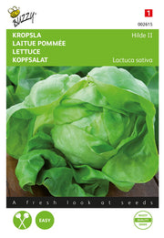 Salat – Hilde II – 3 g