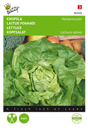 Salat – Neckarreuzen – 2 g