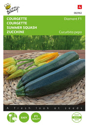 Courgette - Diamant F1 - 2 g