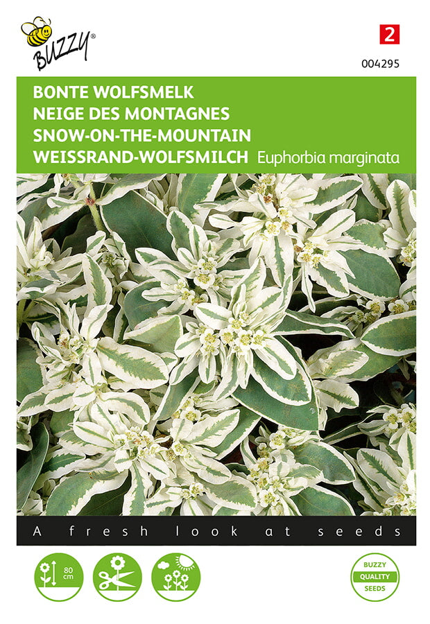 Bonte Wolfsmelk – 15 zaden