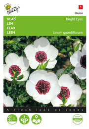 Lin - Yeux Brillants - 1g