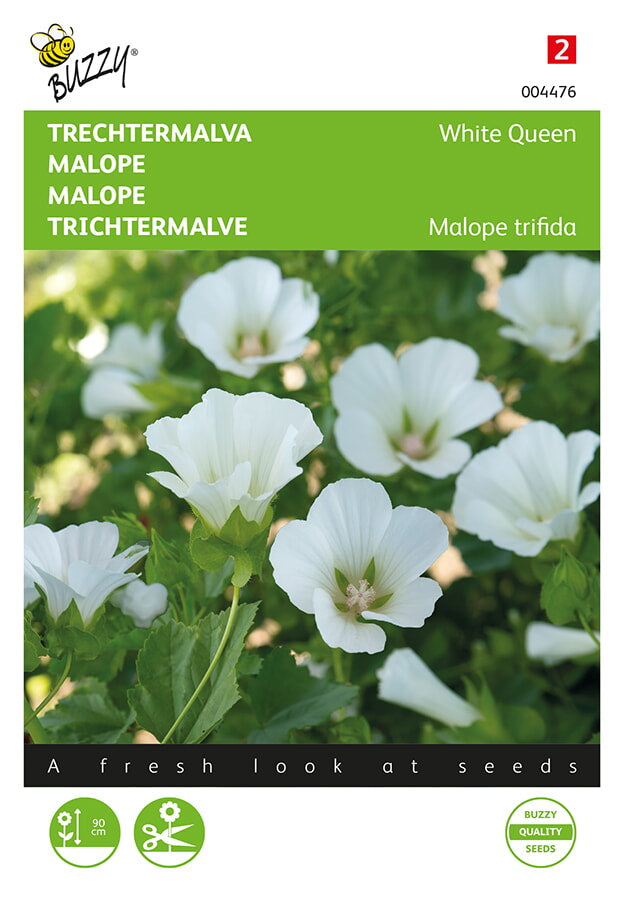 Malope – White Queen – 1,5 g
