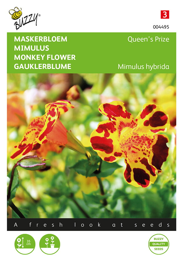 Monkey Flower - Queen's Prize - 15 Seeds