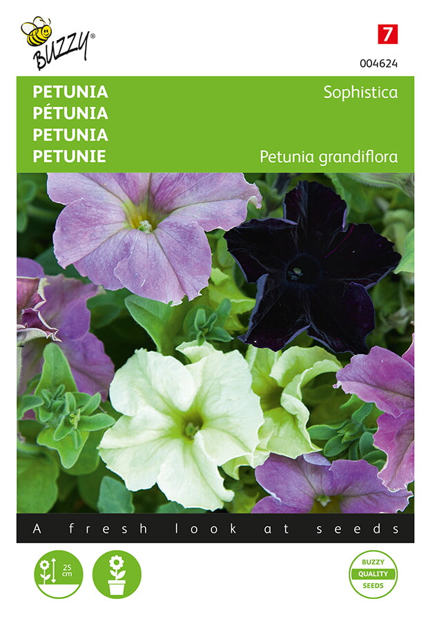 Petunie – Sophistica – 10 Samen