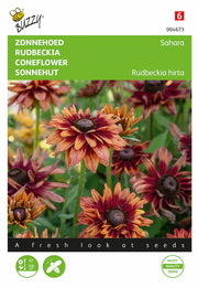 Echinacea - Sahara - 15 Zaden