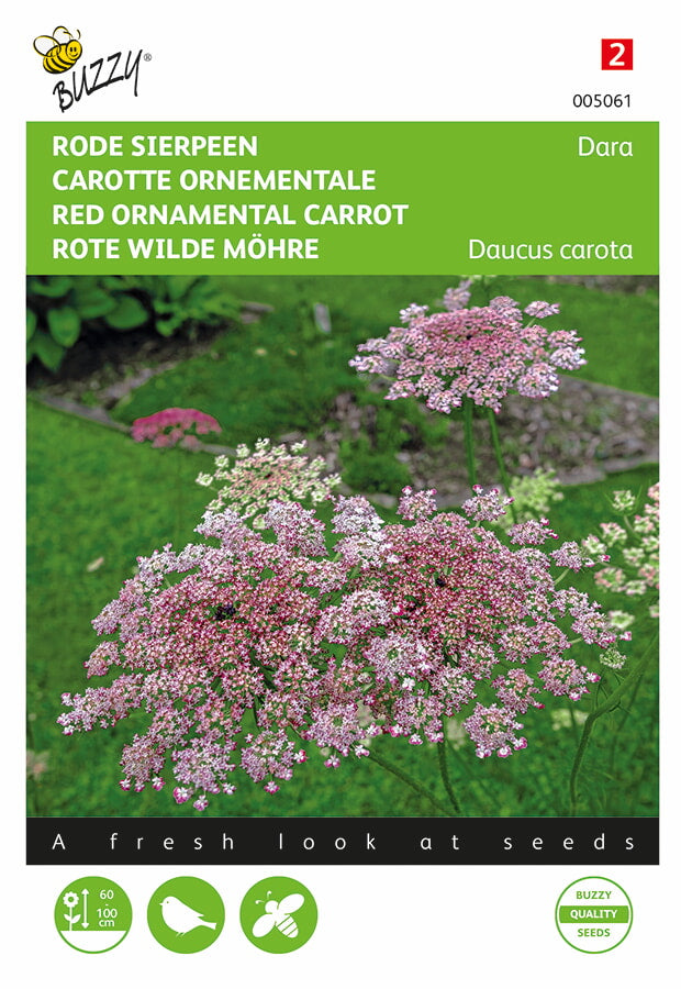 Red Ornamenal Carrot - Dara - 0,1g