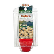 Groeipotten Pinda's
