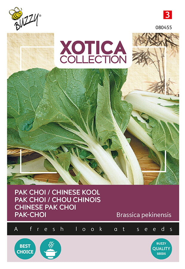 Chinese Pak Choi - 2 g