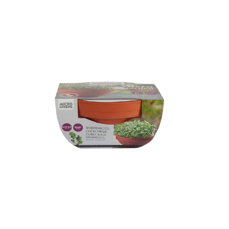 Sow & Grow Kit - Micro Garden - Curly Kale