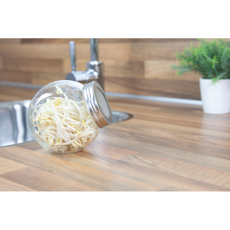 Sprouting Pot