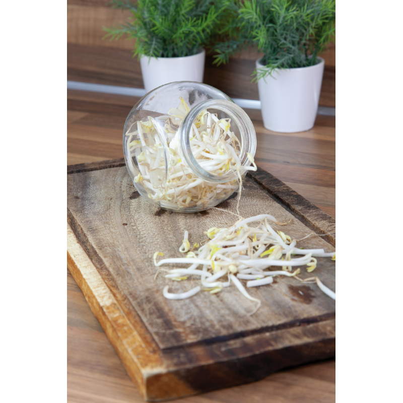 Sprouting Pot