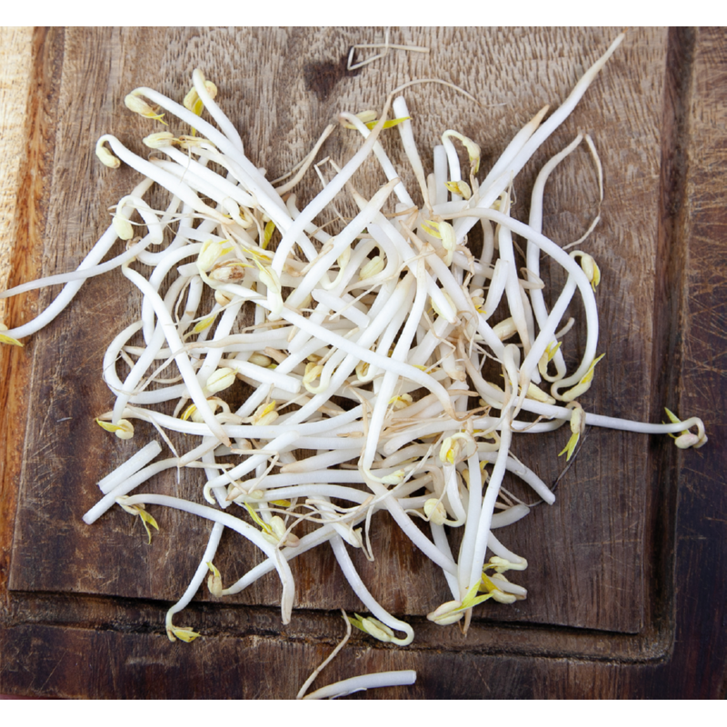 Sprouting Pot