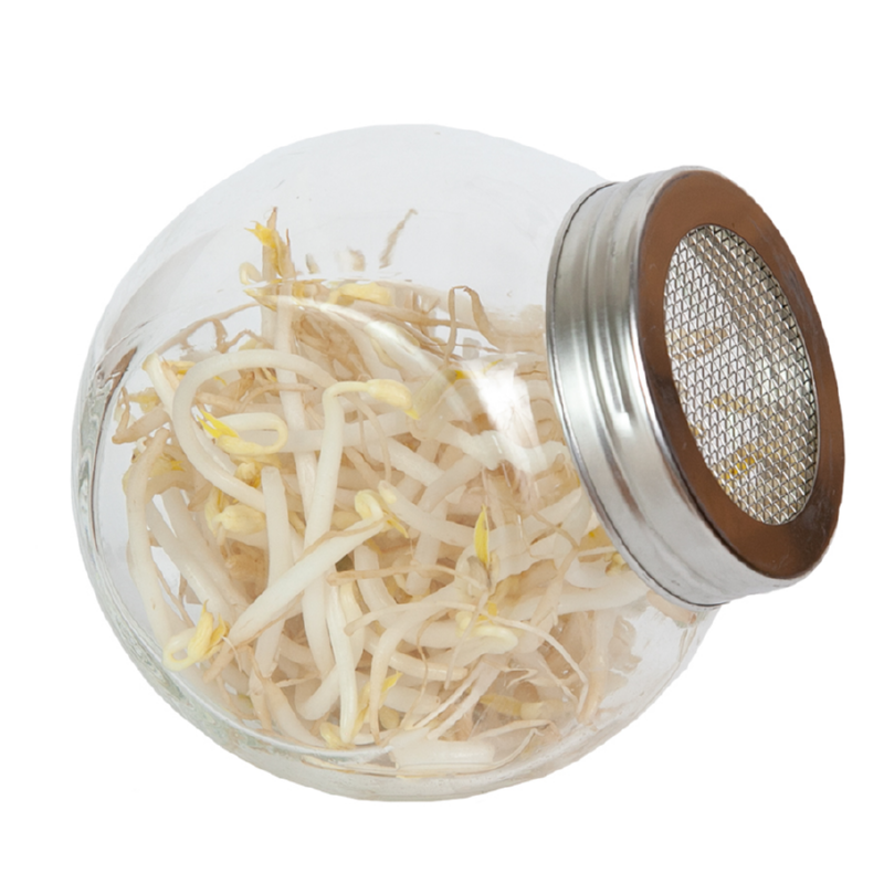 Sprouting Pot