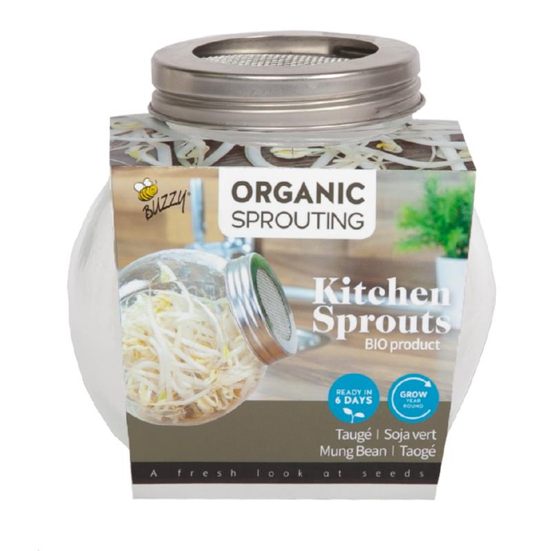 Kitchen Sprouts Glass Pot