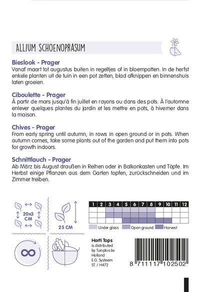 Chives - Prager - 2g