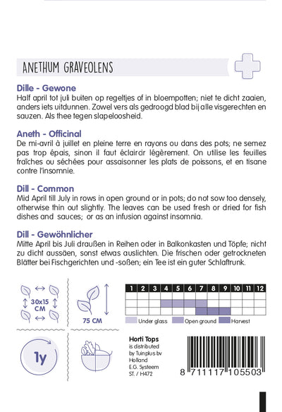Dill - 3g
