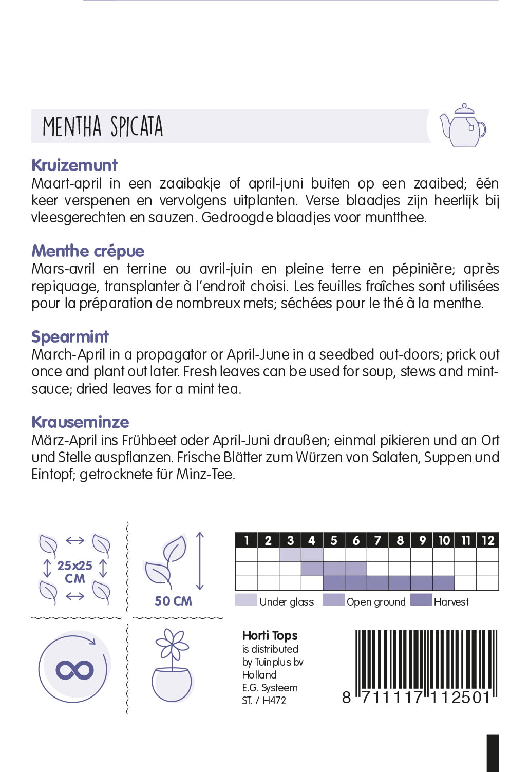 Oseille - Rumex - 2 g