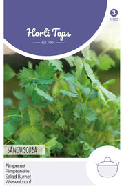 Salad Burnet - Sanguisorba - 1g