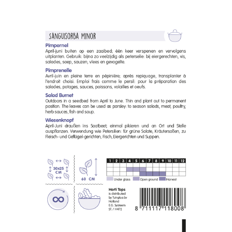 Salad Burnet - Sanguisorba - 1g