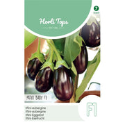 Mini-Aubergine - Patio Baby F1 - 10 Samen