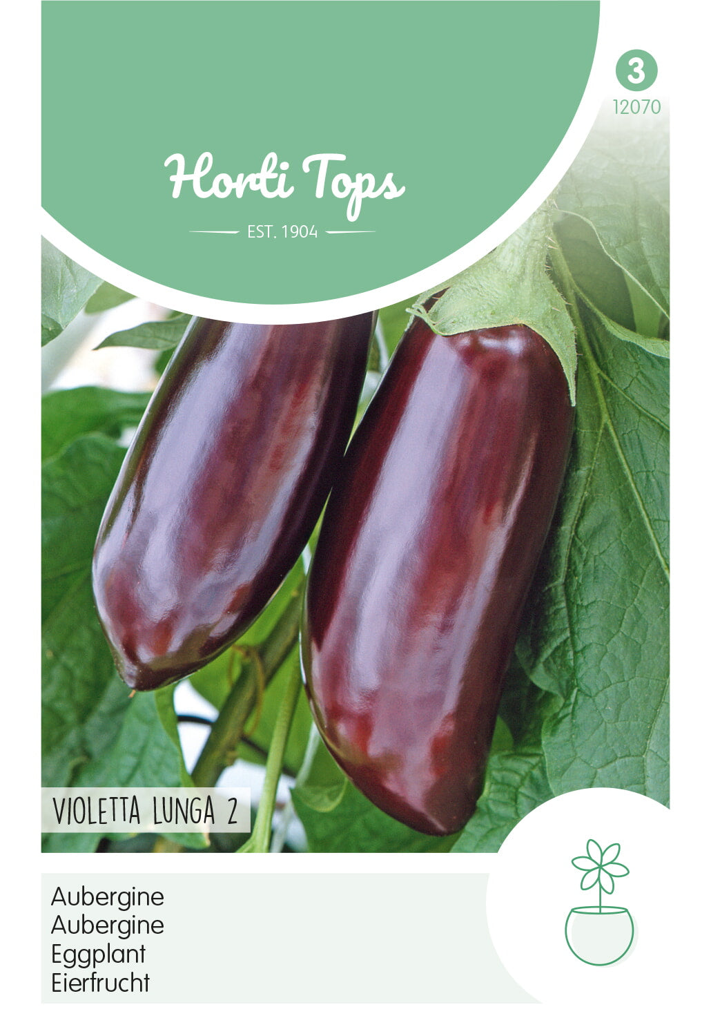 Eggplant - Violetta lunga 2 - 2 g