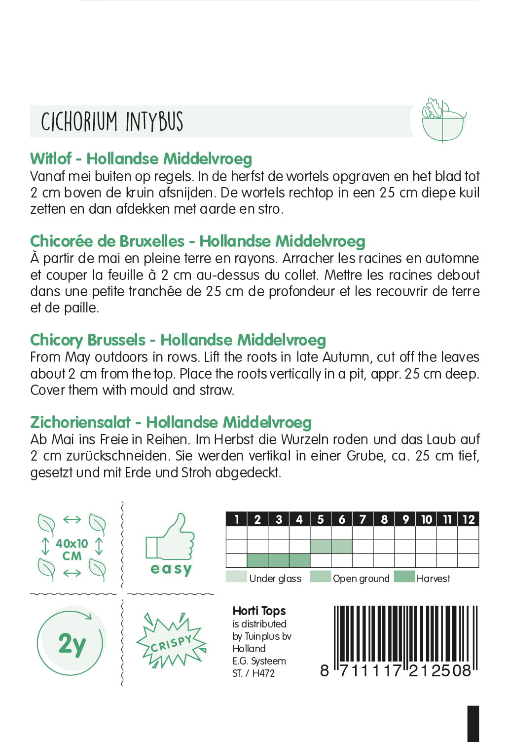 Witlof – Hollandse Middelvroeg – 3 g