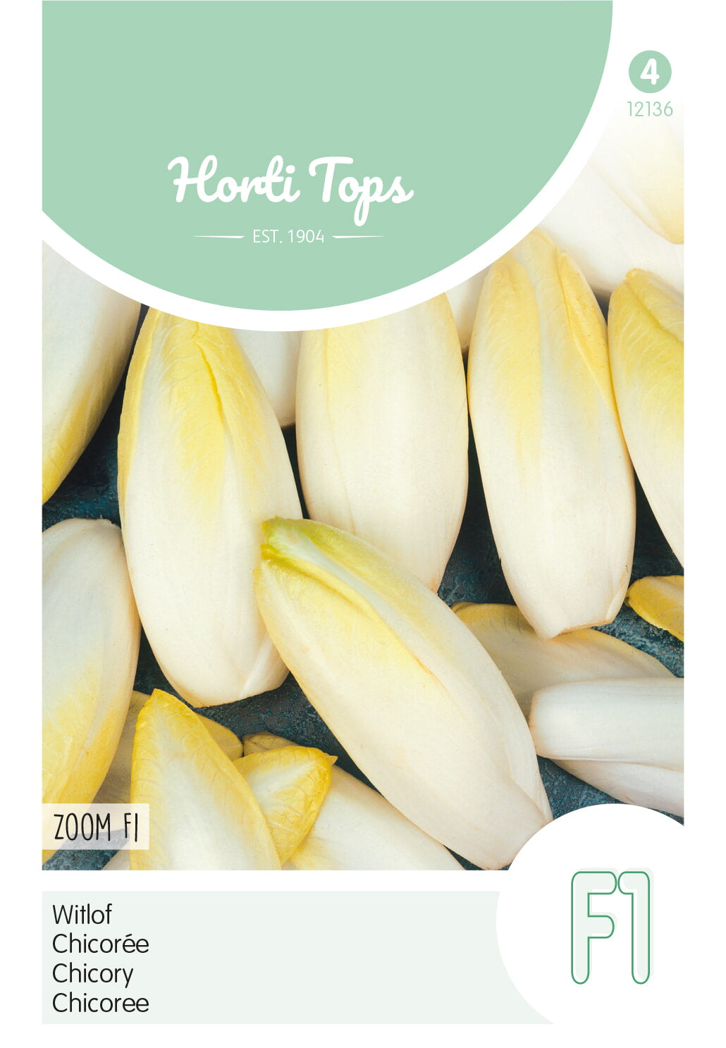 Chicory Brussels - Bingo - 2 g