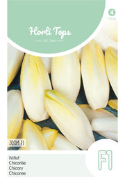 Chicory Brussels - Bingo - 2 g