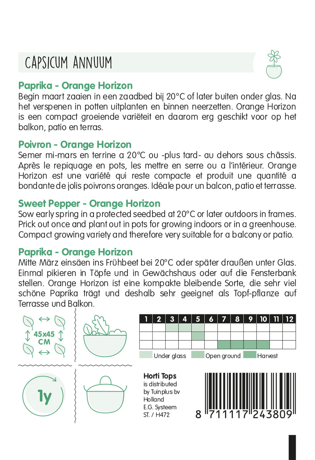 Sweet Pepper - Orange Horizon - 10 seeds