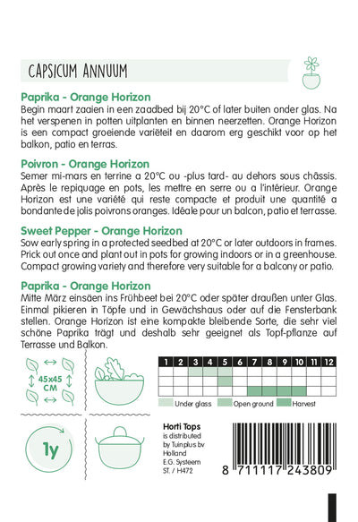 Sweet Pepper - Orange Horizon - 10 seeds
