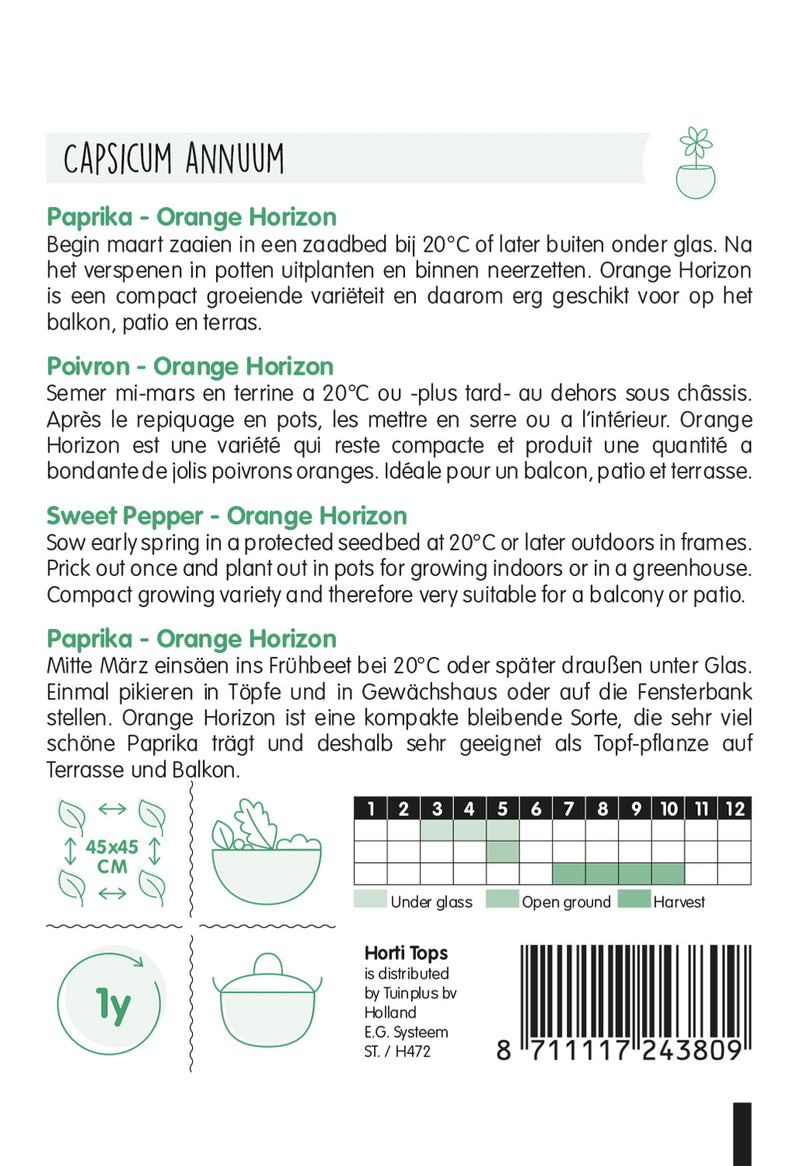 Sweet Pepper - Orange Horizon - 10 seeds