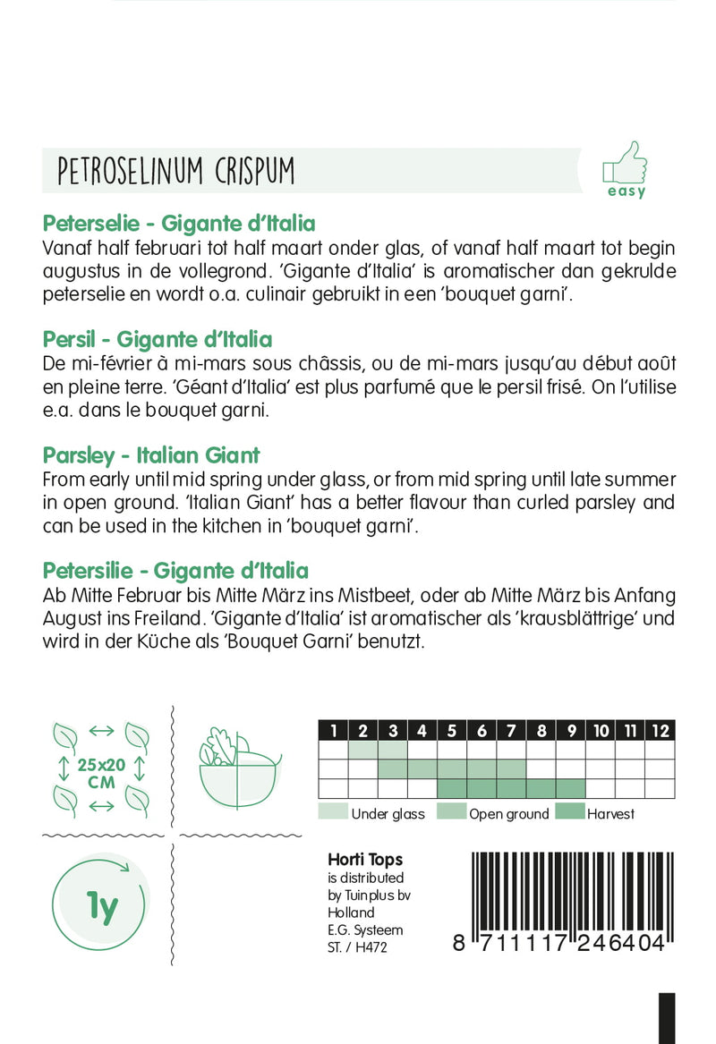 Parsley - Gigante D&
