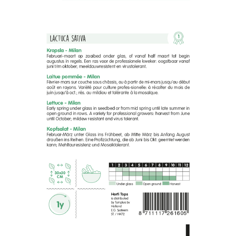 Salat – Milan – 0,75 g