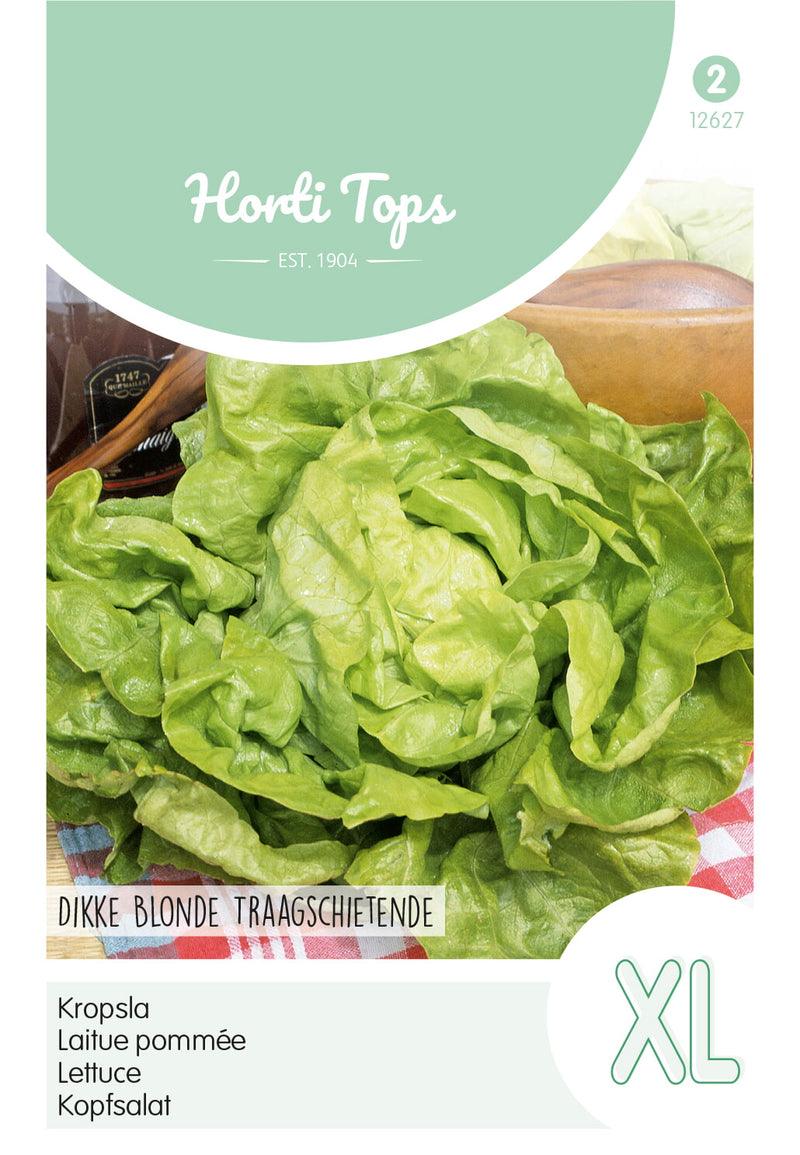 Lettuce - Dikke Blonde Traagschietende - 3 g