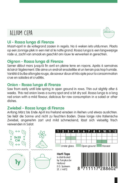 Onion - Rossa Lunga di Firenze - 2 g