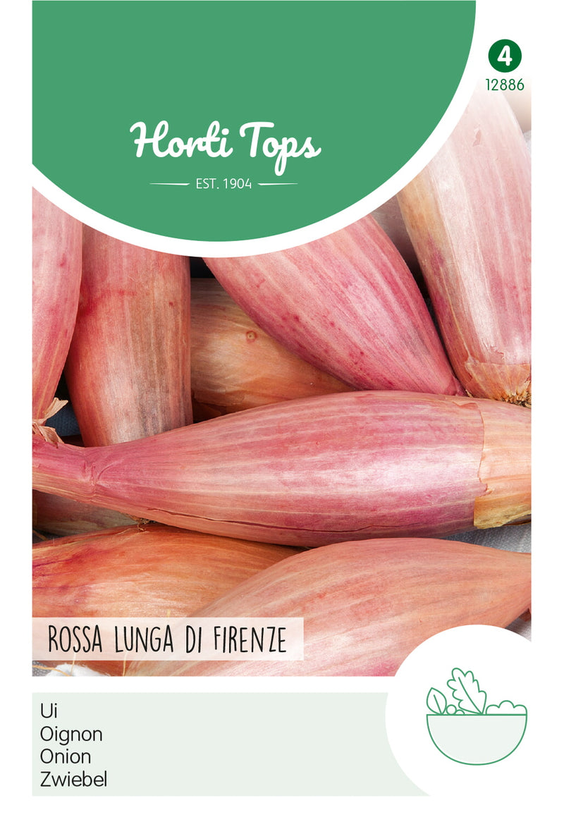 Onion - Rossa Lunga di Firenze - 2 g