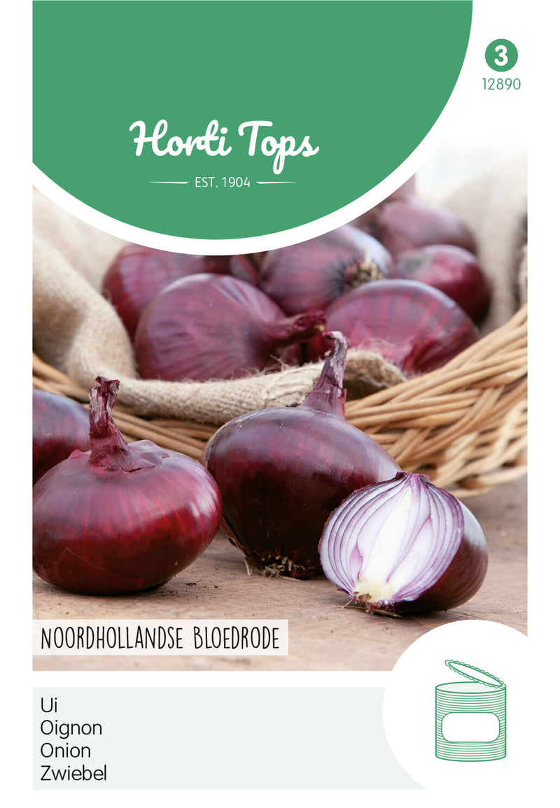 Onion - Noordhollandse Bloedrode - 4 g