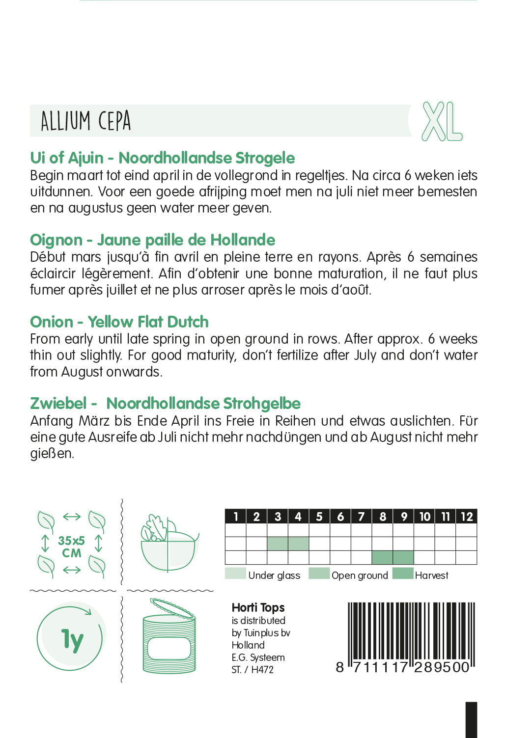 Onion - Noordhollandse Strogele - 4 g