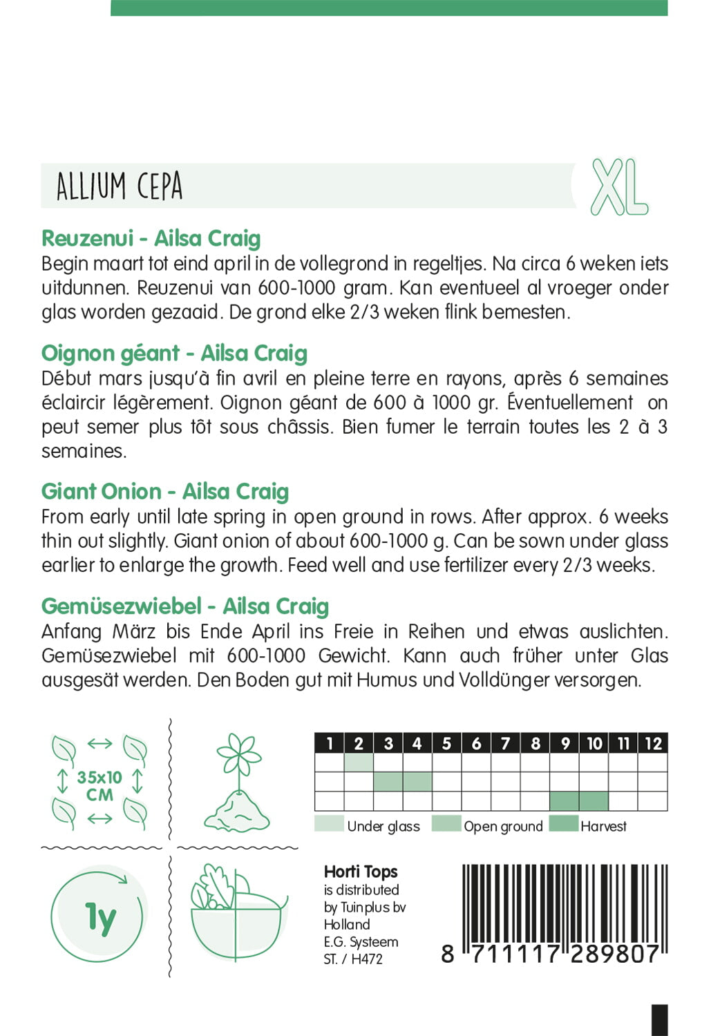 Oignon géant - Ailsa Craig - 2,5 g