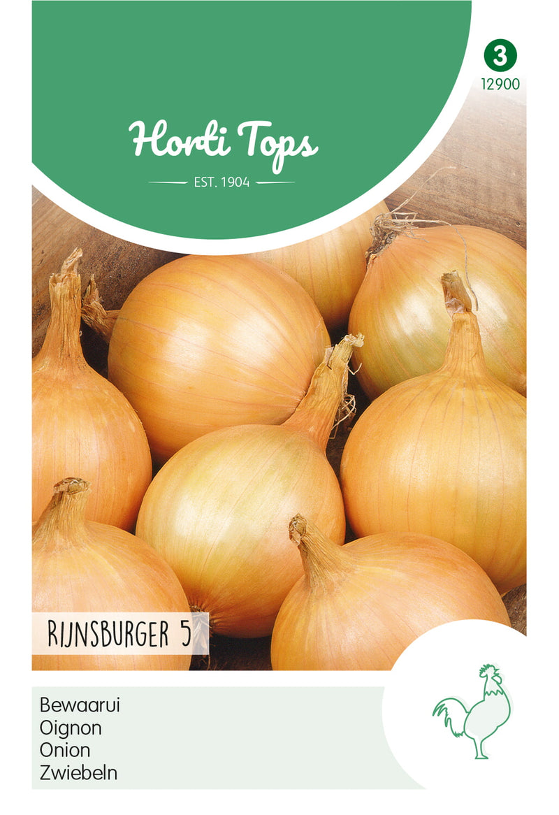 Onion - Rijnsburger 5 - 4 g