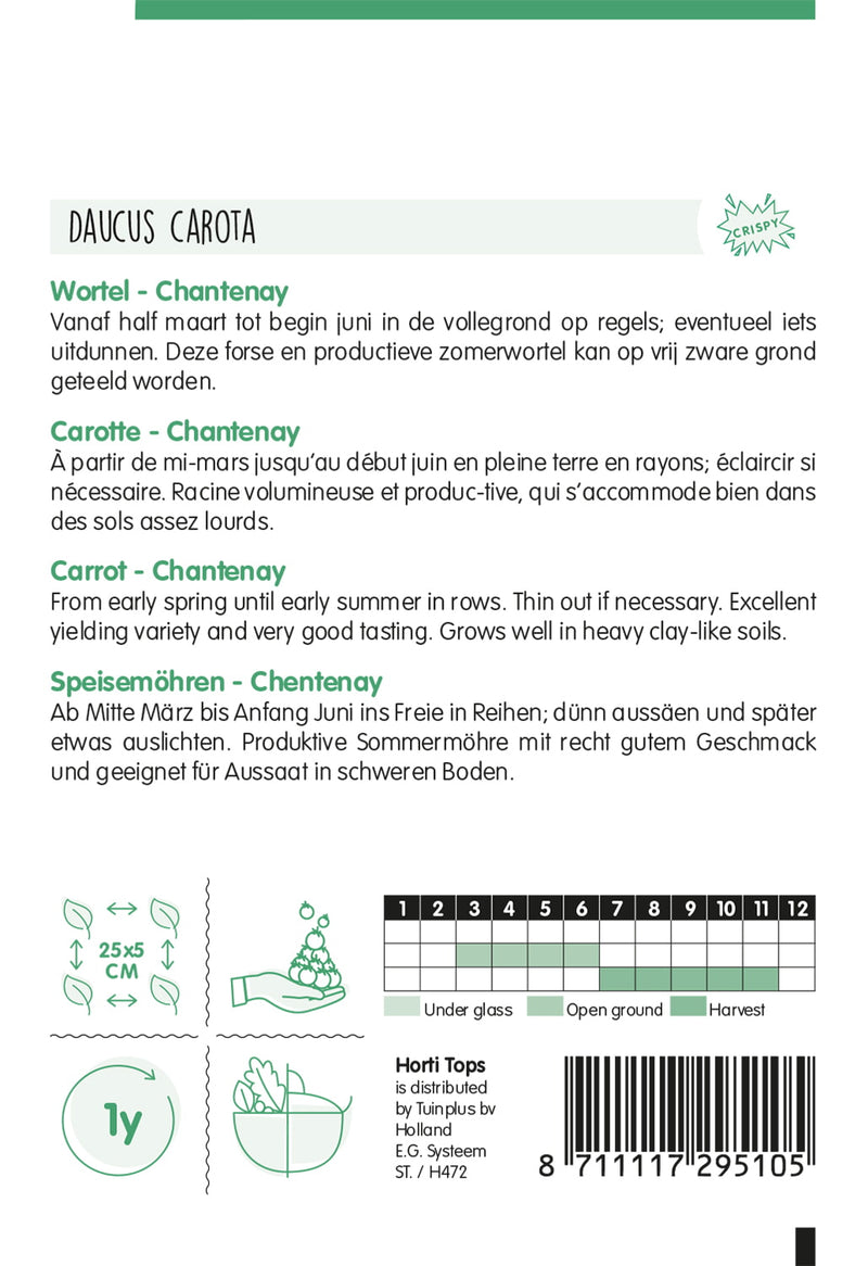 Carrot - Chantenay - 6 g