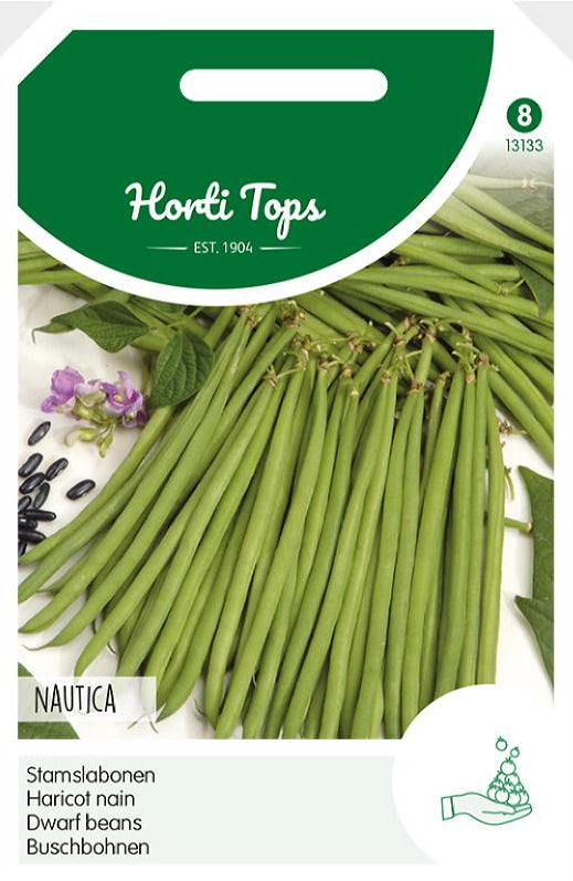 Dwarf Beans - Nautica - 100g