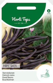 Dwarf Beans - Purple Queen - 100 g