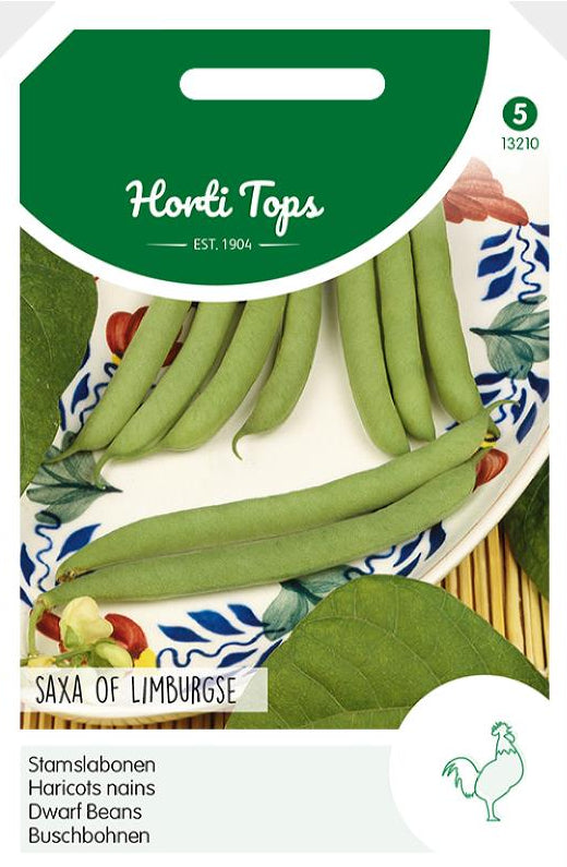Dwarf Beans - Saxa of Limburgse - 100 g