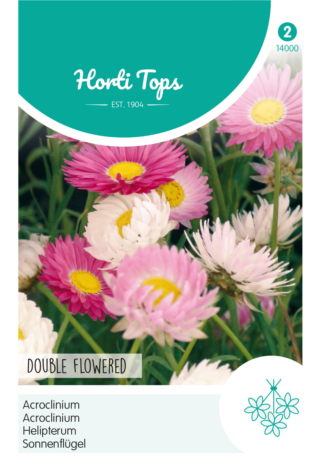 Helipterum - Double Flowered - 1g