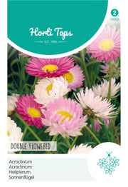 Helipterum - Double Flowered - 1g